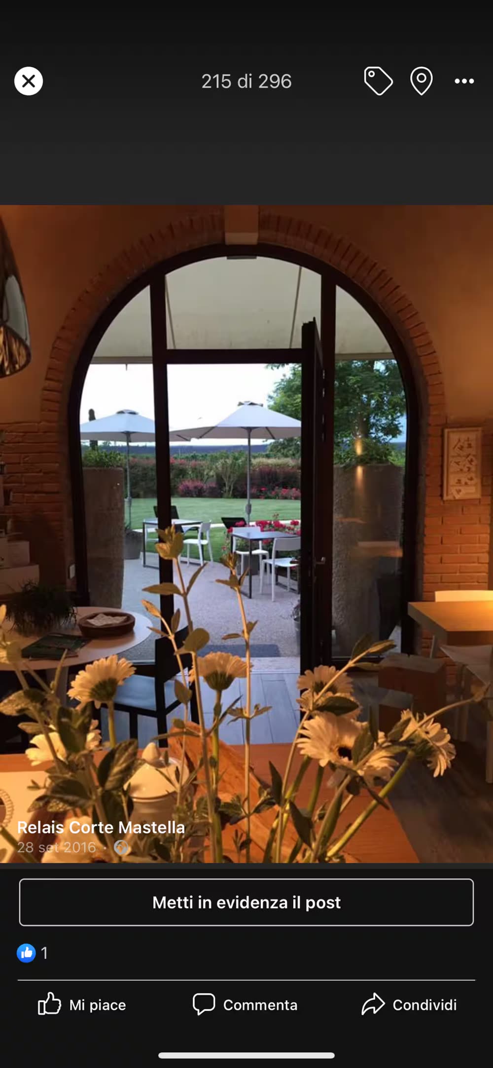 Cucina degli ospiti con vista sul giardino